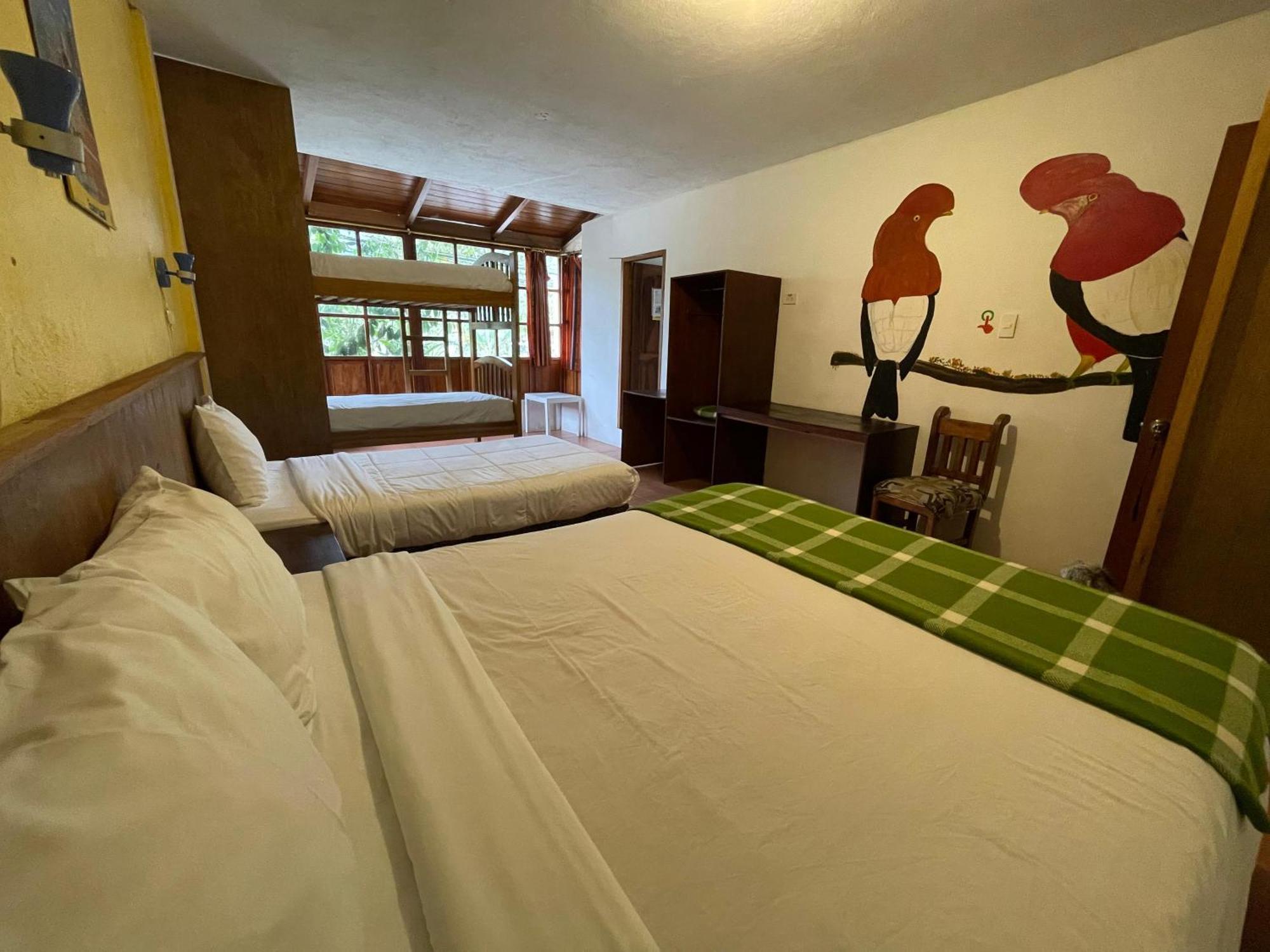 Biohostal Mindo Cloud Forest Exterior foto